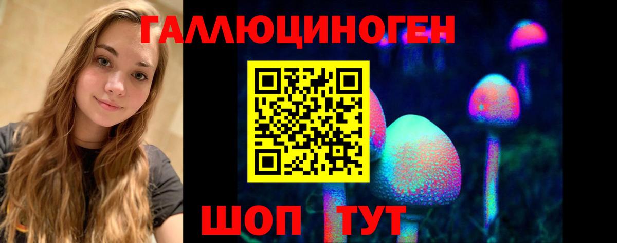 Галлюциногенные грибы GOLDEN TEACHER Чебаркуль